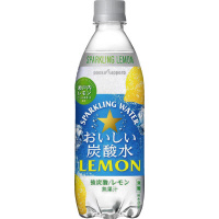 おいしい炭酸水レモン　５００ｍｌ　２４本×２