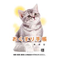 お薬手帳　ねこ　４０Ｐ　５０冊