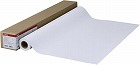 厚口コート紙ＨＧＬＦＭ‐ＣＰＨ／Ａ２／１４５【取寄品】