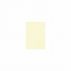 ＮＥＷファインカラーＡ４　ライトクリーム