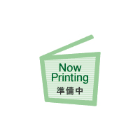 のし紙用紙無地　大　１００枚