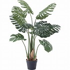 フェイクグリーン　モンステラ