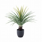 フェイクグリーン　ミニパイナップル