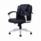 ＳＫＮ２　マネージメントチェア　ローバック