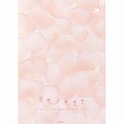 便箋　花色ノキモチ　２０４０５