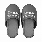 靴のまま履ける抗菌スリッパ　Ｓ