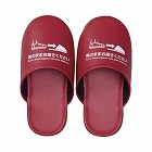 靴のまま履ける抗菌スリッパ　Ｍ