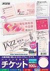 手作りチケット　兼用　５面半券付　ピンク　２０枚