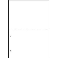 マルチプリンタ帳票　Ａ４　白紙２面２穴　１００枚