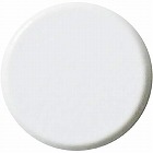 両面強力カラーマグネット　１８ｍｍ　白　１０個入