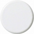 両面強力カラーマグネット　２５ｍｍ　白　１０個入