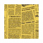 包装紙　筋入ニューレター　半才判　５０枚