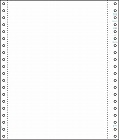 ストックフォーム　Ｂ５タテ２Ｐ　白紙　２５０セット【取寄品】