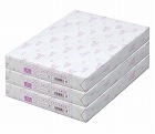 タイプ２高白色　Ｂ４　１冊（５００枚）×３