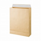 宅配袋　１００ｇ　大　５０枚