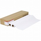 プレミアム普通紙　ＬＦＭ‐ＰＰＰＡ１／８０　２本