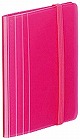 カードホルダー＜ノビータ＞ミニタイプ桃×１０冊