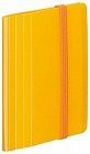 カードホルダー＜ノビータ＞ミニタイプ黄×１０冊