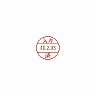 日付印プチコールＰＲＯ１５　記帳用　入力済