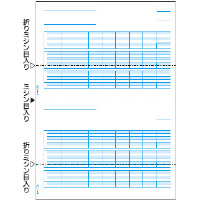 給与明細書　Ａ４タテ　２面　１００枚入