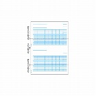 給与明細書　Ａ４タテ　２面　１００枚入