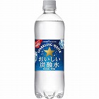 おいしい炭酸水　６００ｍｌ　２４本