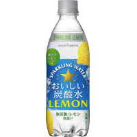 おいしい炭酸水レモン　５００ｍｌ　２４本