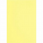 色画用紙　四つ切　クリーム　５枚