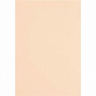 色画用紙　四つ切　薄橙　５枚