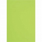 色画用紙　四つ切　黄緑　５枚