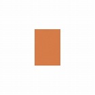 ＮＥＷファインカラー　オレンジ　Ａ４