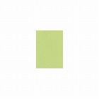 ＮＥＷファインカラー　グリーン　Ａ４　１箱