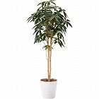 人工植物　パキラツリー　高さ１６００　光触媒