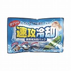 速攻冷却　１０個