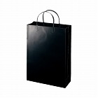 ラミネートバッグＡ４　ブラック　１０枚