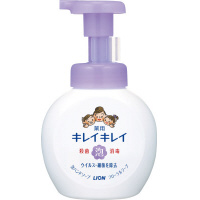 キレイキレイ泡ハンドＳ　フローラルＳ本体２５０ｍｌ