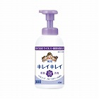 キレイキレイ泡ハンドＳ　フローラルＳ本体５５０ｍｌ