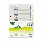 カラー仕切カード　Ａ４縦　２穴　１２山　５組