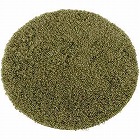 スレッド　チェアパッド３５ｃｍ丸　グリーン