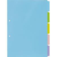 ＰＰ製カラー仕切カード　Ａ４縦２穴　５山