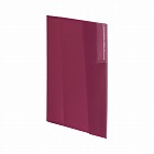 クリヤーホルダーファイル＜ＫａＴａＳｕ＞赤