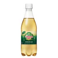 カナダドライ　ジンジャーエール　５００ｍｌ　２４本