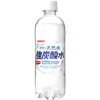 伊賀の天然水強炭酸水ＰＥＴ　５００ｍｌ　２４本