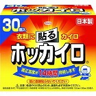 ホッカイロ　貼る　レギュラー　３０枚入