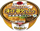 日清麺ＮＩＰＰＯＮ　和歌山特濃豚骨しょうゆ１２食