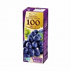 フルーツセレクション　グレープ　２００ｍｌ　２４本