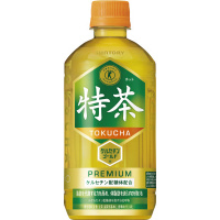 ホット伊右衛門　特茶　５００ｍｌ　２４本