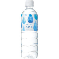 おもてなし用天然水５００ｍｌ　２４本