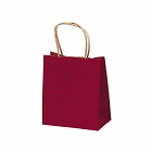 手提げバッグ　１０Ｐ赤　特小