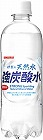 伊賀の天然水強炭酸水ＰＥＴ　５００ｍｌ　２４本×２